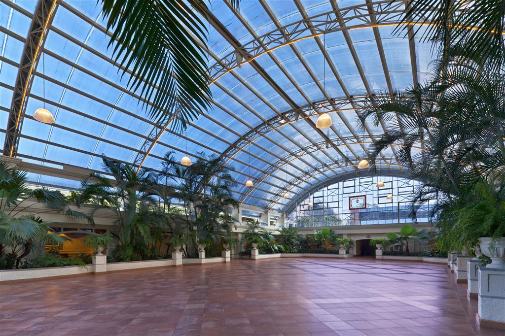 The Westin Camino Real, Hotel 5*